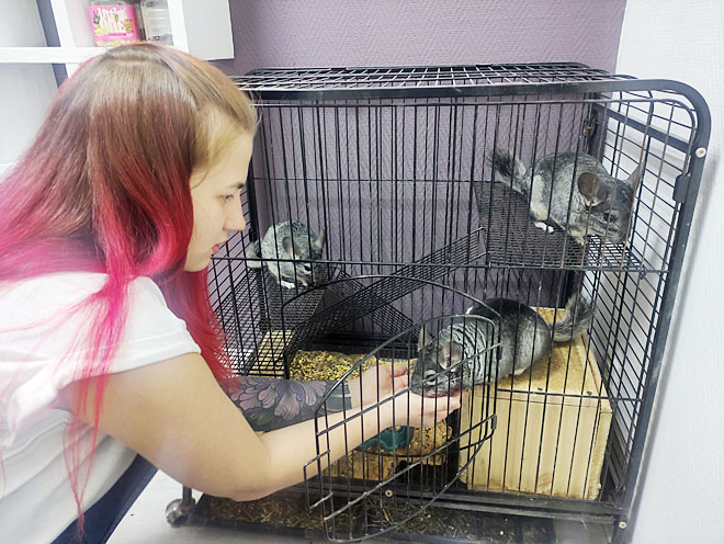 Семён, Валера и Булочка