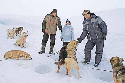 БЕЖИТ УПРЯЖКА В ГОД СОБАКИ