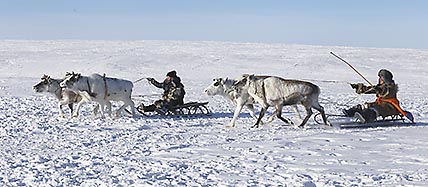 УПРЯЖКИ НАШИ БЫСТРЫ