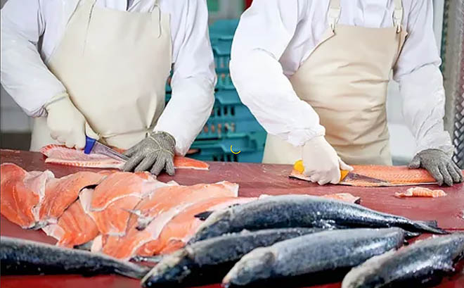 «Чукотсах» ставит на лосось