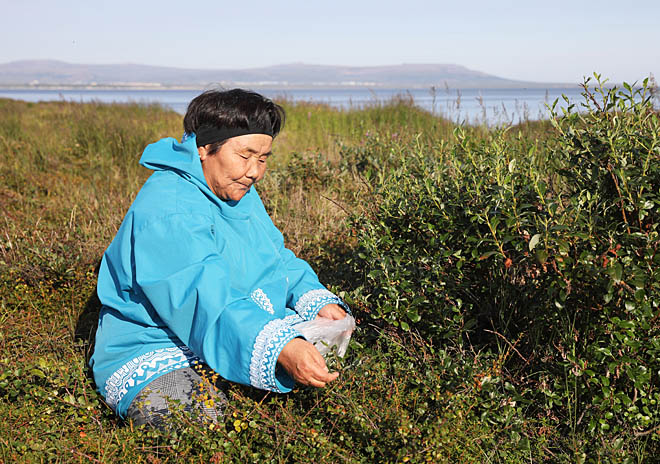 Хранительница традиций Тнатвааль