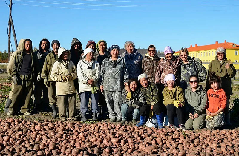Ваежские овощеводы начинают сезон