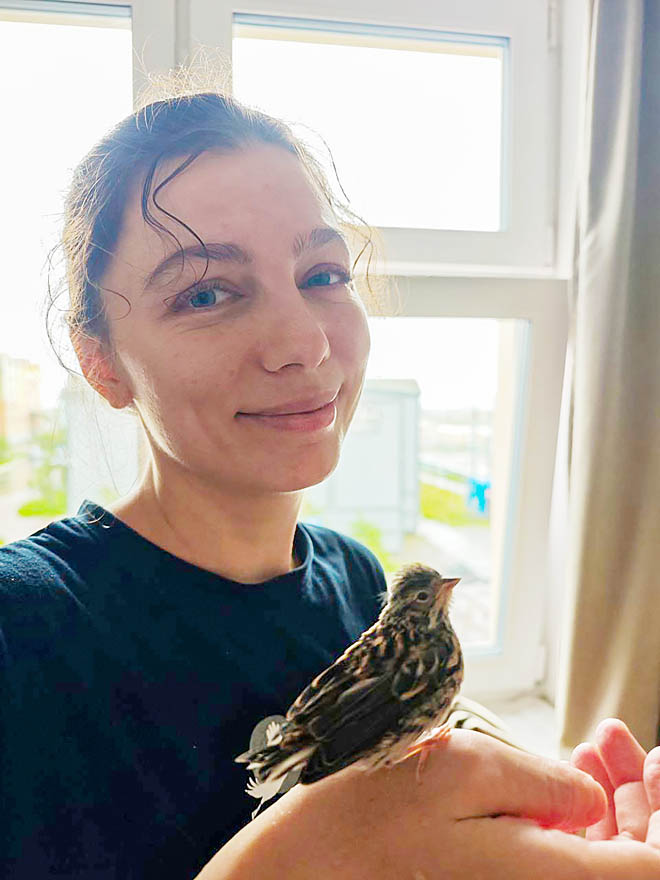 Овсянка, сэр!