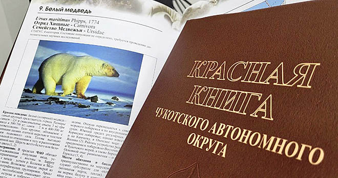 Толстая  и классная