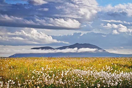 ЧИСТО ВОЗДУХ