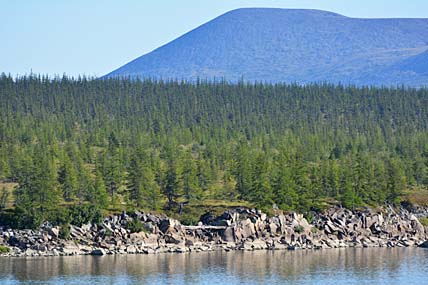 ГЕКТАР ЗЕМЛИ  В ОТКРЫТОМ ДОСТУПЕ
