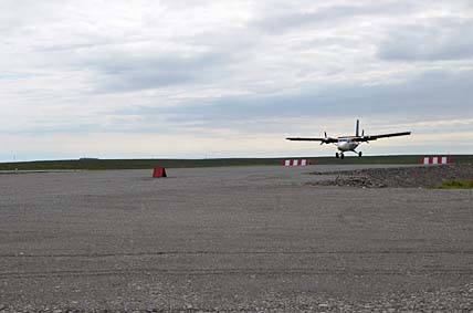 «ДАШКИНЫ» ПЕРСПЕКТИВЫ