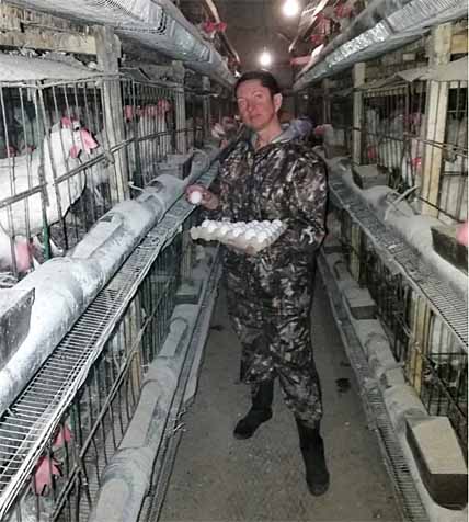 ПЕРНАТОЕ ПОГОЛОВЬЕ РАСТЯТ НА МЕСТЕ