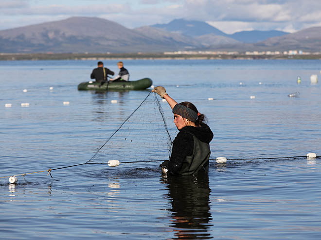 Поправки преткновения
