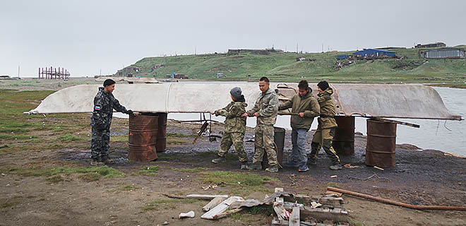 Морзверобои делают всё возможное