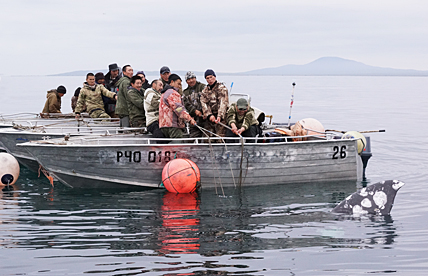 МОРСКИЕ ОХОТНИКИ ПОПРОСИЛИ ДОБАВКИ