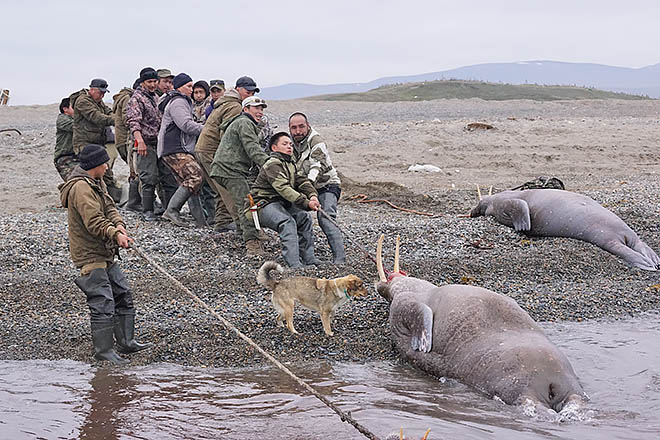 От Минсельхоза ждут ясного ответа