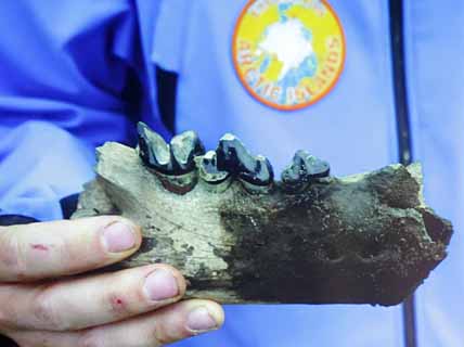 АЙОПЕЧАН – РОДИНА ЛЬВОВ