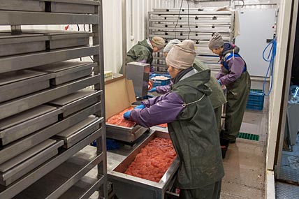 ПОЙМАЛ, ПЕРЕРАБОТАЛ, РЕАЛИЗОВАЛ