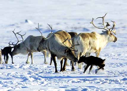 НЕЧЕГО НА ПОГОДУ ПЕНЯТЬ…