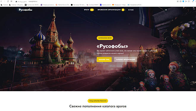 Жителям ДФО стала доступна интернет-платформа, призванная противодействовать антироссийской пропаганде