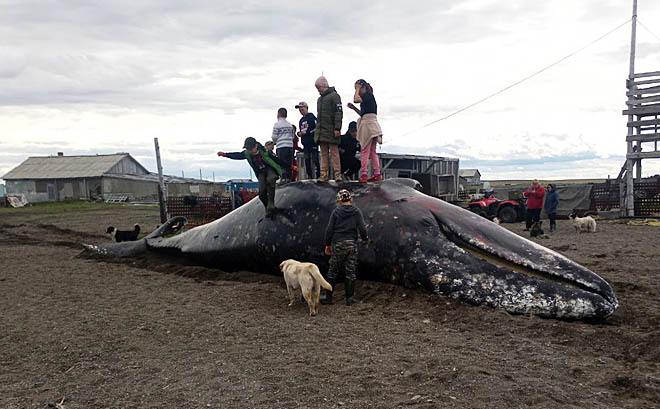 «Анкальыт» не промахнулся