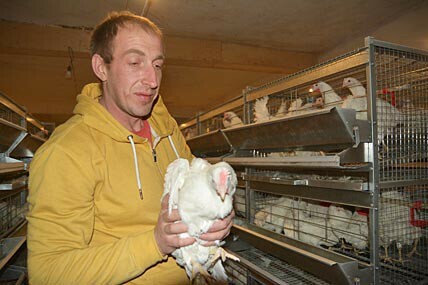 Гектары с вариантами