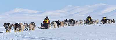 «НАДЕЖДА» ЖИВЕТ И ПРОДОЛЖАЕТСЯ