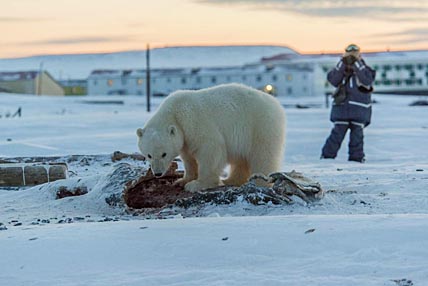 ОСТАТЬСЯ НА ВОЛЕ