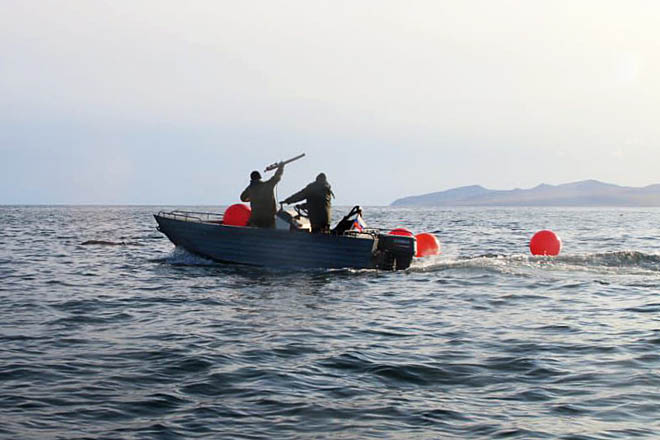 К выходу в море готовы