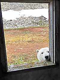 КУРОРТ МОРЖЕЙ И МЕДВЕЖЬЯ БЛОКАДА