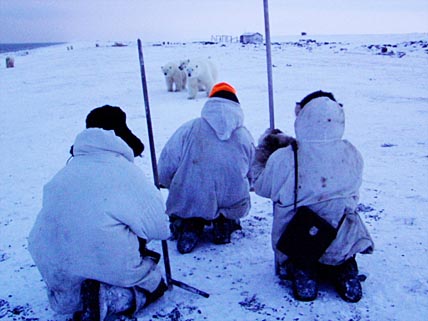 «МЕДВЕЖИЙ ПАТРУЛЬ» ДОБРАЛСЯ ДО БИЛЛИНГСА