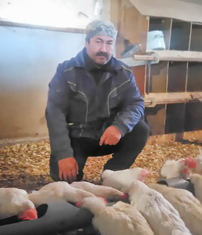 Пополнение из инкубатора