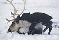 ОТЕЛ ЗАКОНЧИЛСЯ, НАЧАЛСЯ НАГУЛ