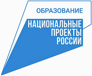 Педагоги метят в флагманы