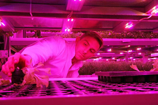 Не на проценты, а в оборот