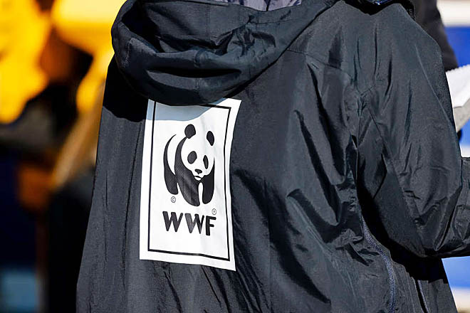 WWF уходит с Чукотки