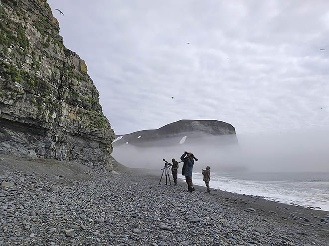 Первые люди на «птичьем базаре»