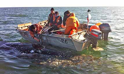 КИНО И ПРОМЫСЕЛ