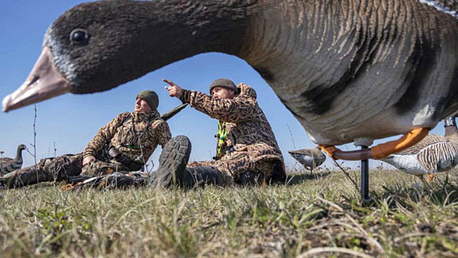 Хлопунцов предложено щадить