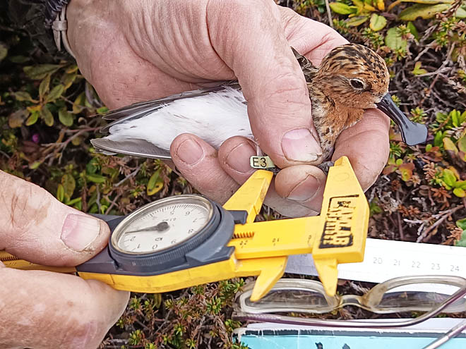 «Путёвку в жизнь» снимают с паузы