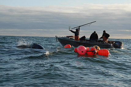 С КВОТАМИ РАСКВИТАЛИСЬ