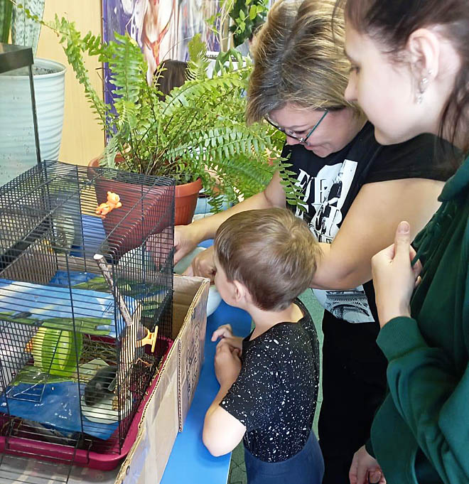 Две улитки, Крош и тазик с раками