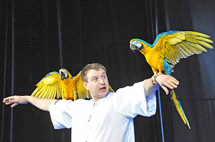 ЗАГАДОЧНЫЕ ГОСТИ...