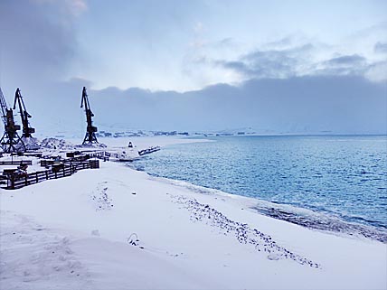 ЛЁД ВЫНЕСЛО ВМЕСТЕ С ТЮЛЕНЯМИ