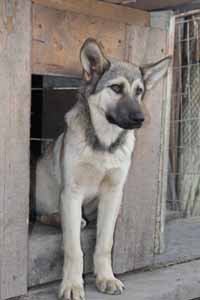 «УГОЛОК НАДЕЖДЫ» НА ДАЛЬНЕВОСТОЧНОМ ГЕКТАРЕ