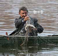 ПЛАНИРУЯ ПУТИНУ-2015