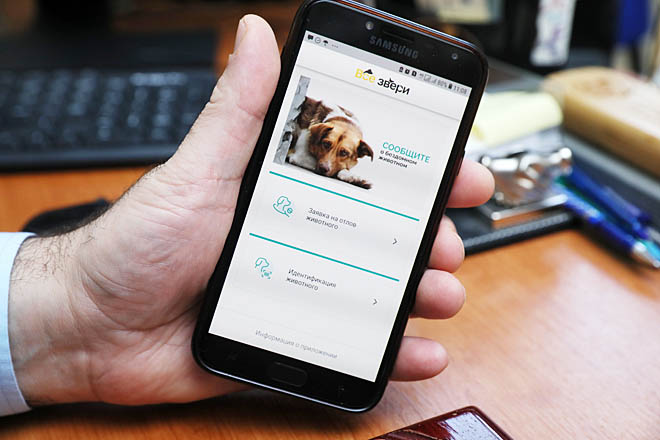 Все звери в одном телефоне