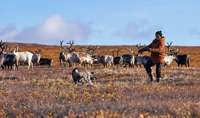 «Оленевод» присмотрит из космоса