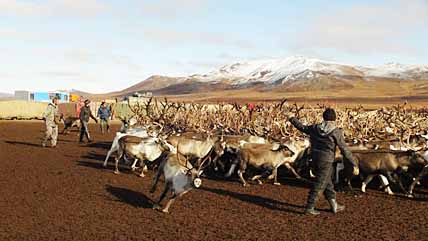 ПРОСЧЁТ ОСЕННИЙ