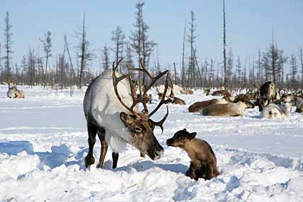 ОТЁЛ ПРОШЁЛ, ВПЕРЕДИ ЛЕТОВКА