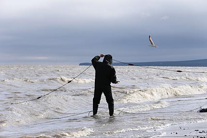 В БОРЬБЕ ЗА СЕТИ