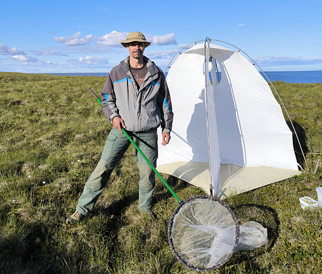 Эффекты бабочек