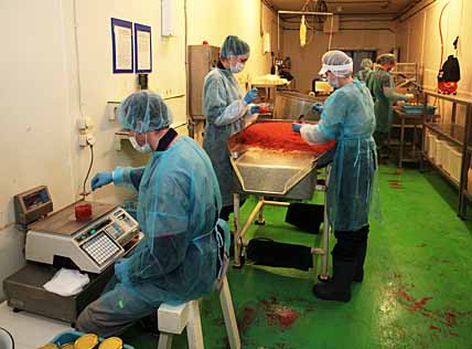 СТАВКА НА КЕТУ