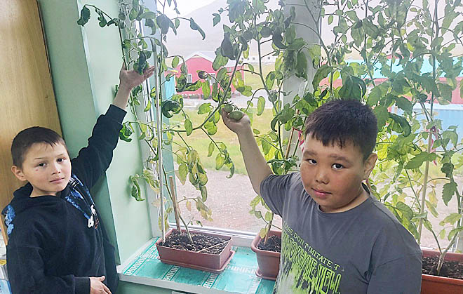 Мини-огород на классном подоконнике